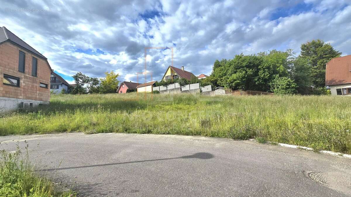 Terrain à WINTZENBACH