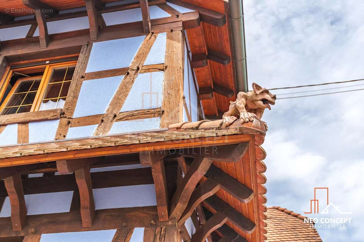 Maison à LA WANTZENAU