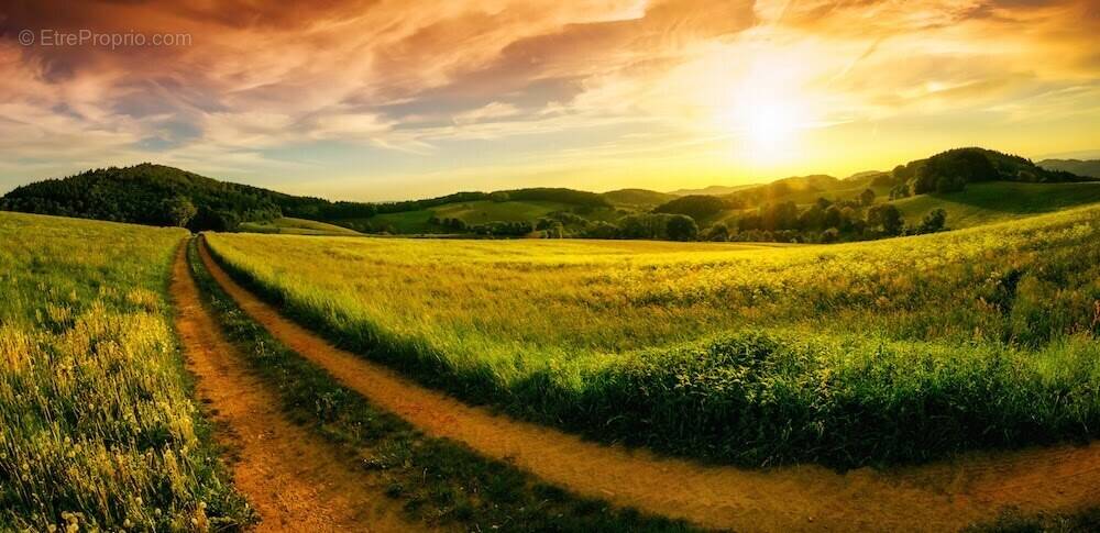 Terrain à LA SELLE-SUR-LE-BIED