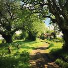 Terrain à EGREVILLE