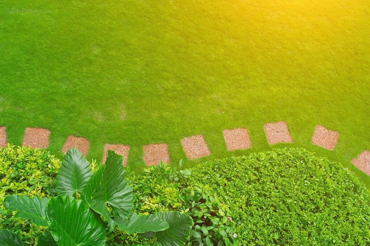 Terrain à CHATEAU-LANDON