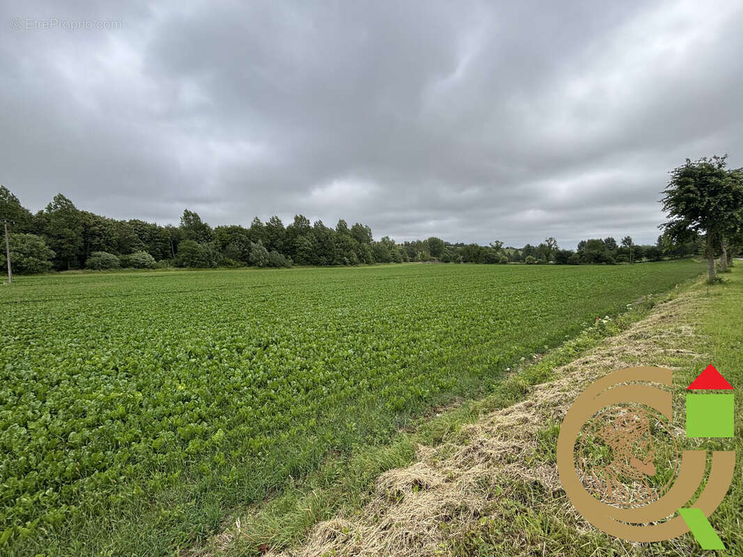 Terrain à LONGVILLIERS