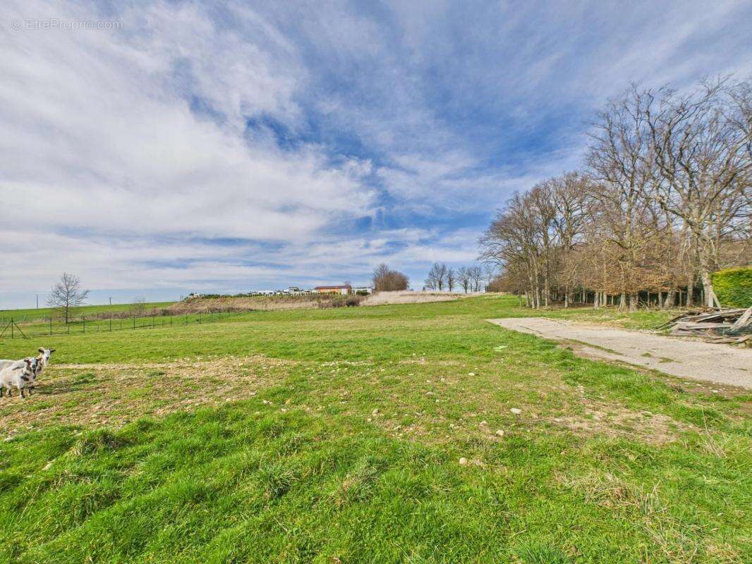 Maison à SAINT-GEORGES-D&#039;ESPERANCHE