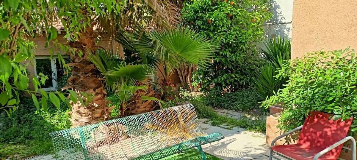 Commerce à LA GRANDE-MOTTE