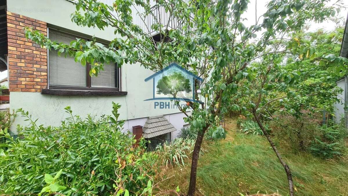 Maison à MERTZWILLER