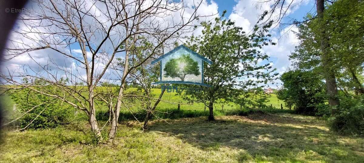 Terrain à GRANDVILLERS