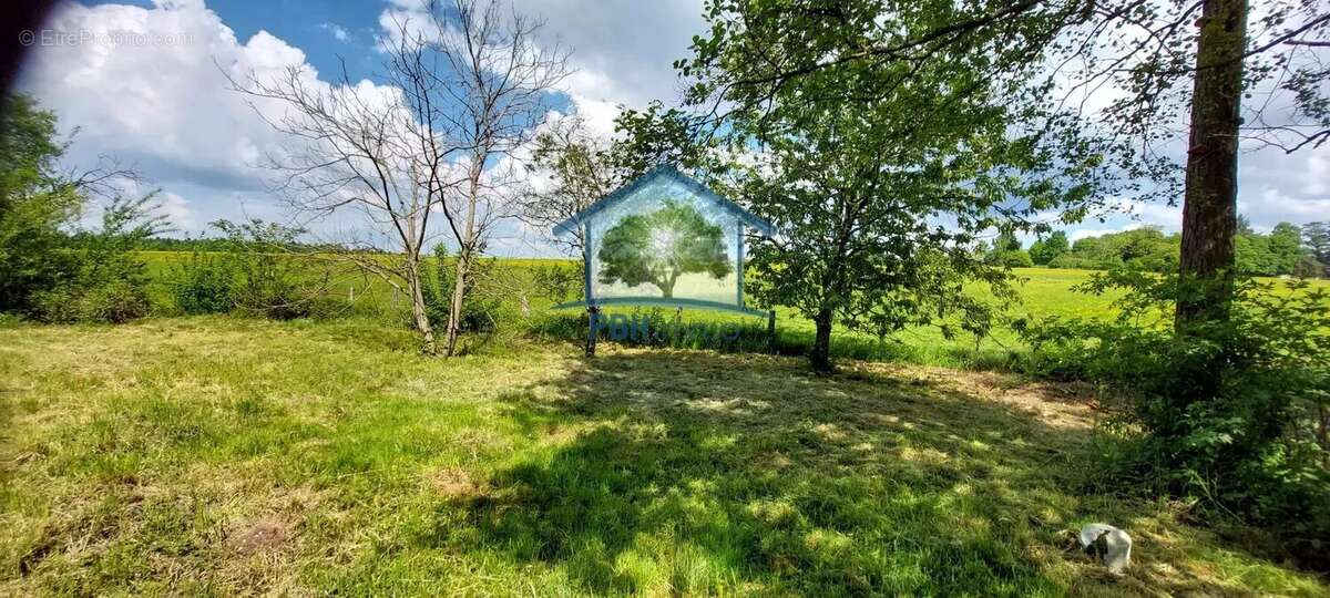 Terrain à GRANDVILLERS