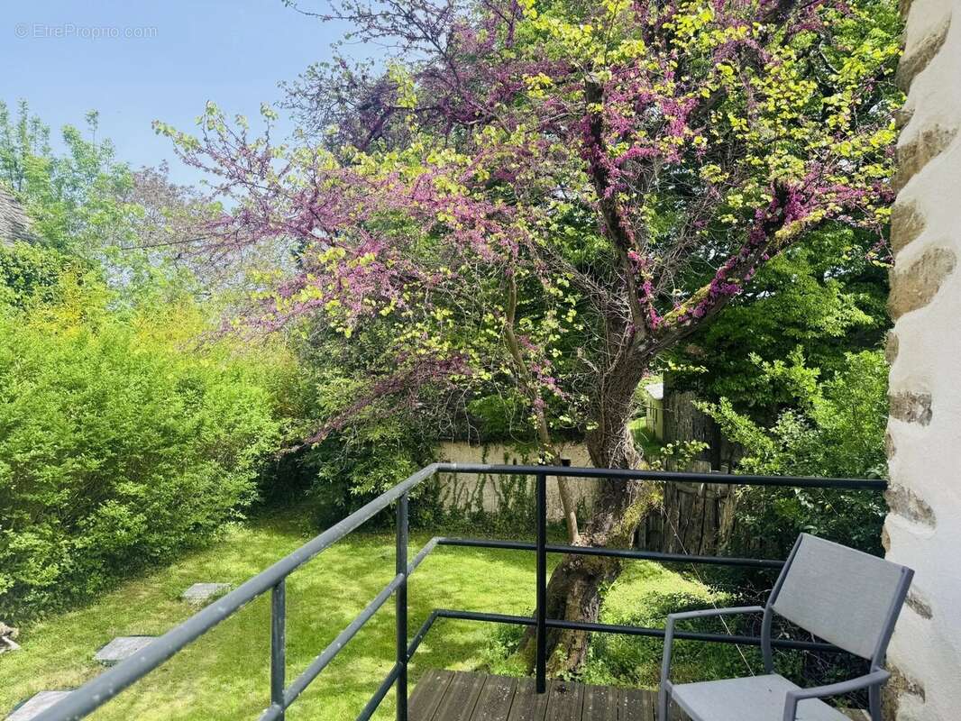 Maison à LA SALVETAT-PEYRALES