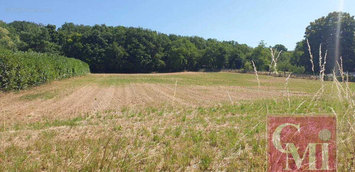 Terrain à SAINT-SULPICE-DE-FAVIERES