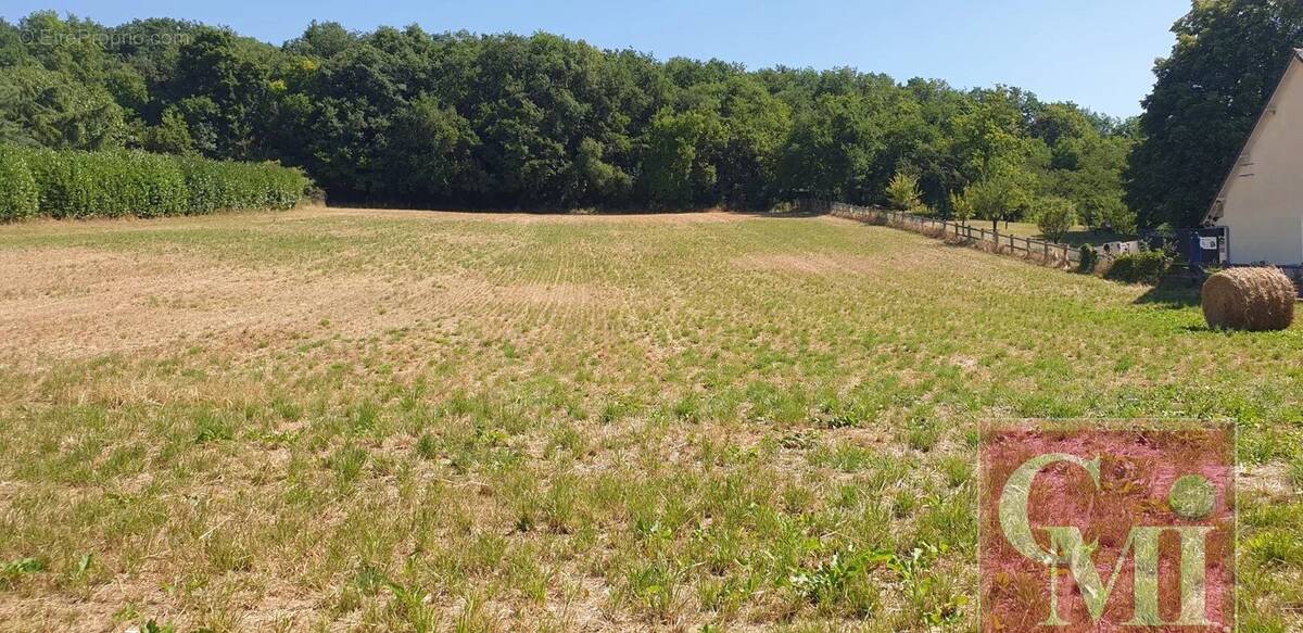 Terrain à SAINT-SULPICE-DE-FAVIERES