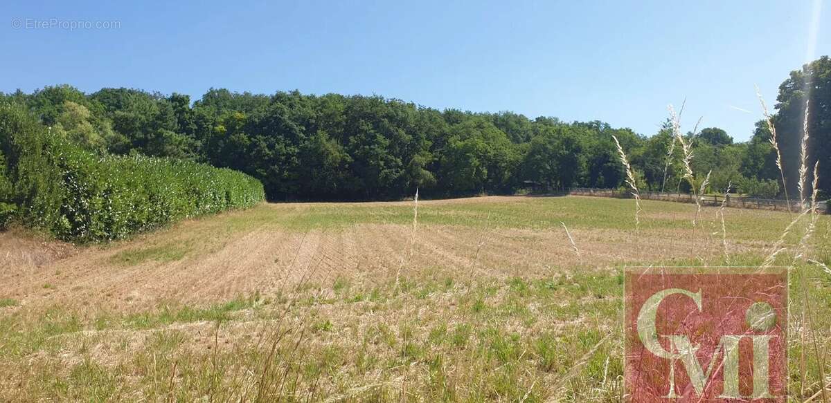 Terrain à SAINT-SULPICE-DE-FAVIERES