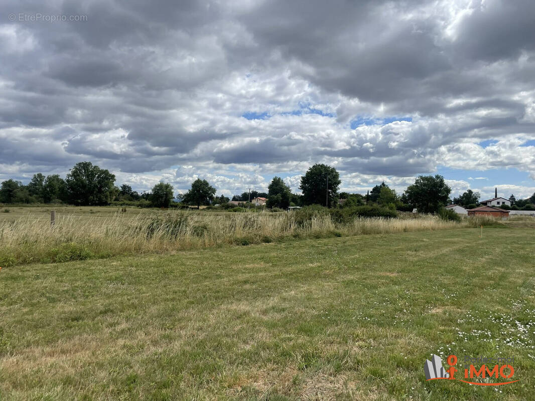 Terrain à CHALAIN-LE-COMTAL