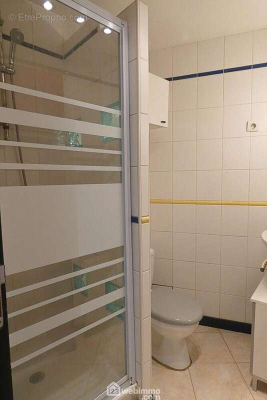 Et une salle de douche avec WC - Appartement à SEYTHENEX