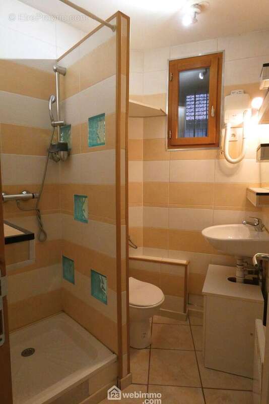 Et une salle de douche avec WC - Appartement à SEYTHENEX