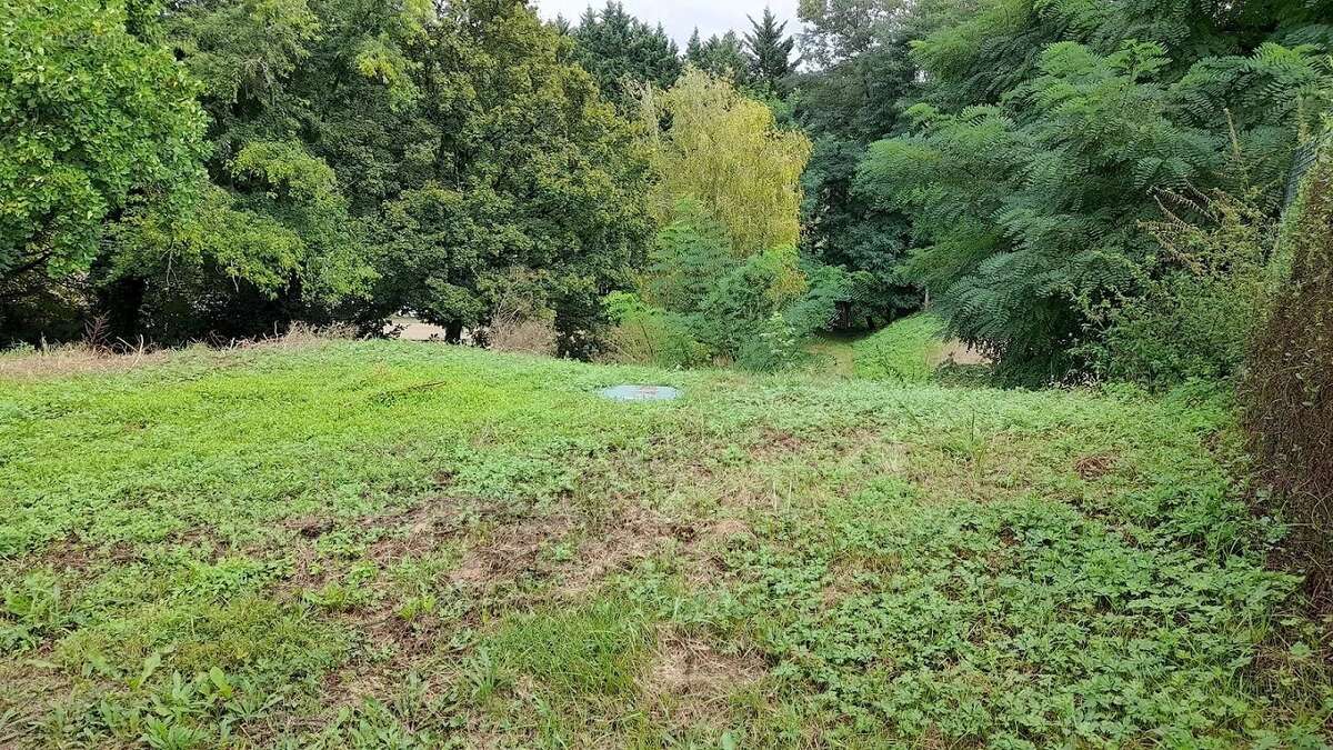 Maison à MOGNENEINS