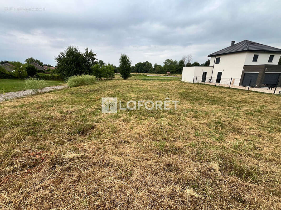 Terrain à BAVILLIERS