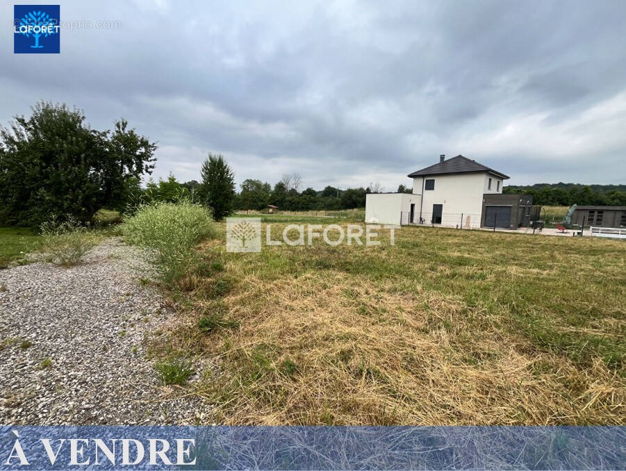 Terrain à BAVILLIERS