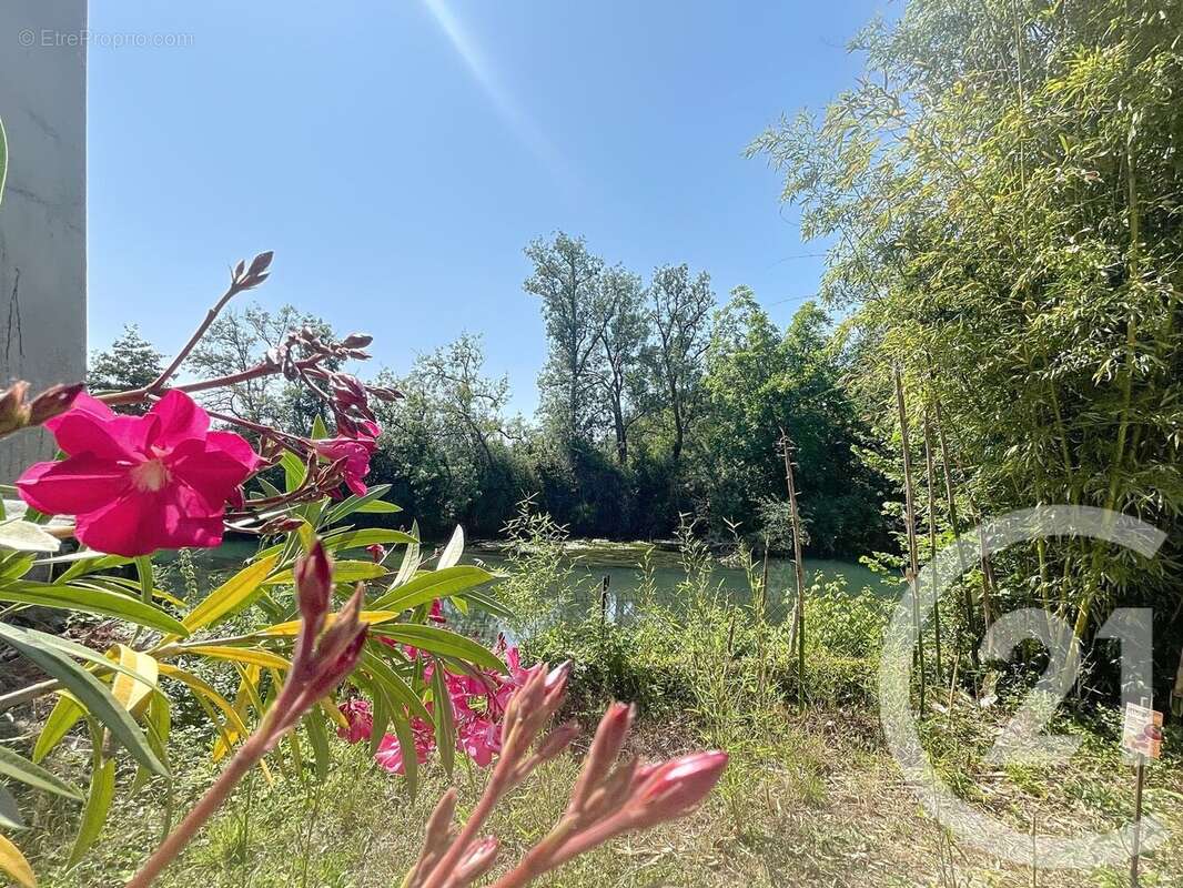 Maison à MONTIGNAC-CHARENTE