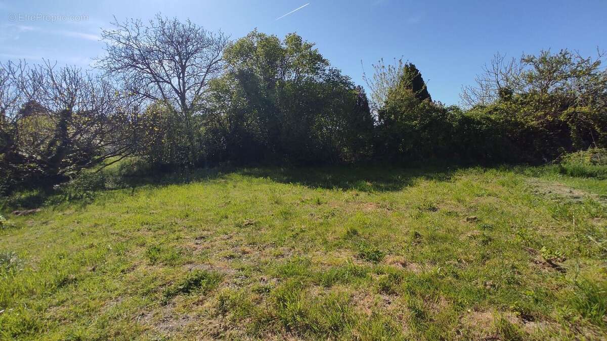 Maison à COLOMBIERS