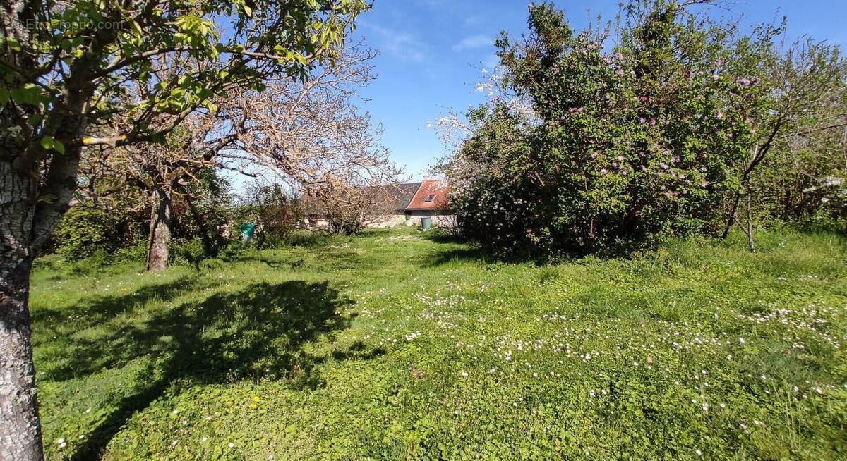 Maison à COLOMBIERS