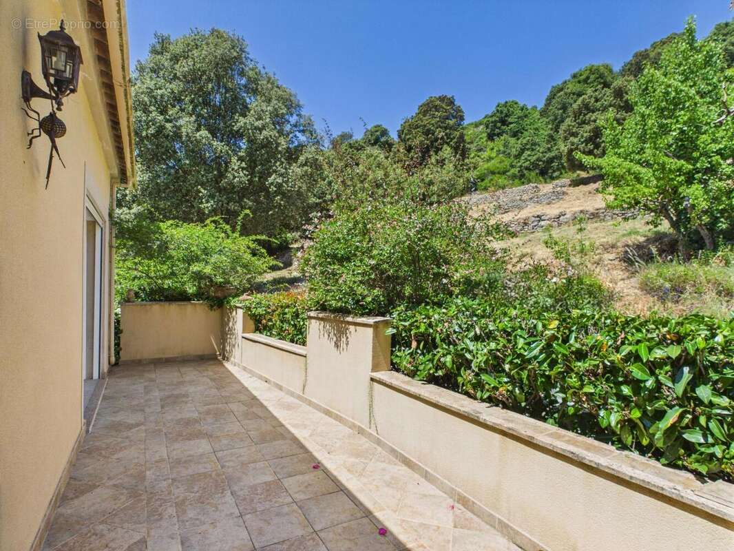 Maison à PIETROSELLA