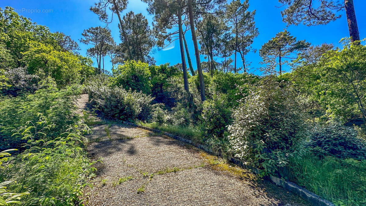 Terrain à ARCACHON