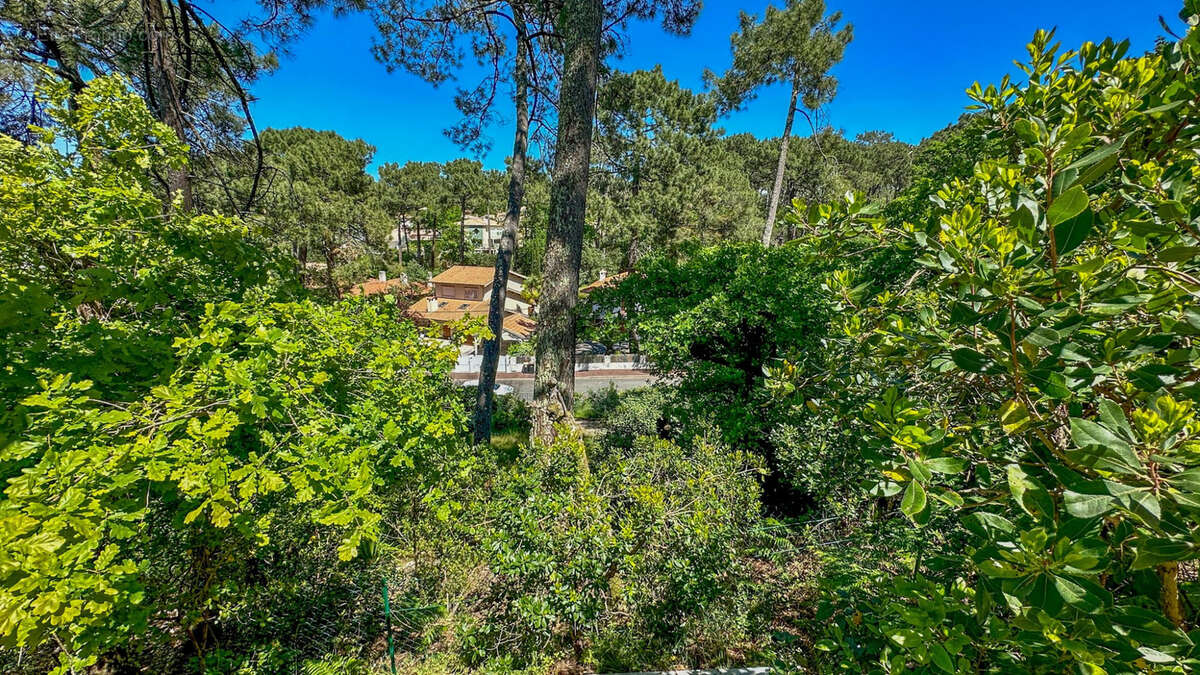 Terrain à ARCACHON