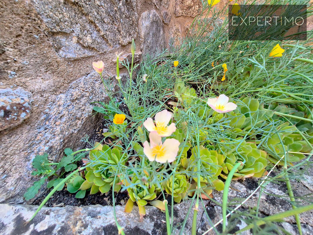 Maison à CASSAGNES-BEGONHES
