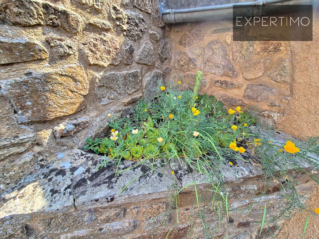 Maison à CASSAGNES-BEGONHES