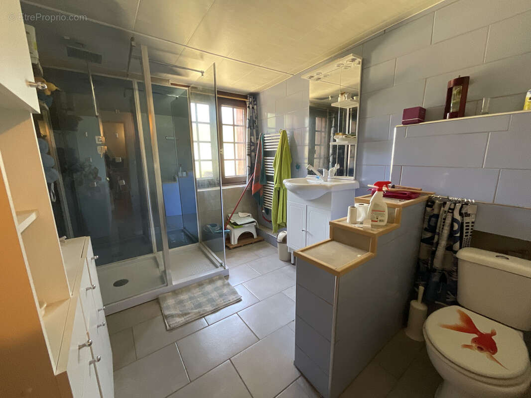 Maison à CHARVIEU-CHAVAGNEUX