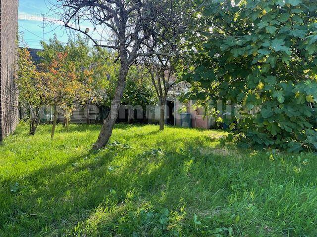 IMG_7902 - Terrain à WATTRELOS