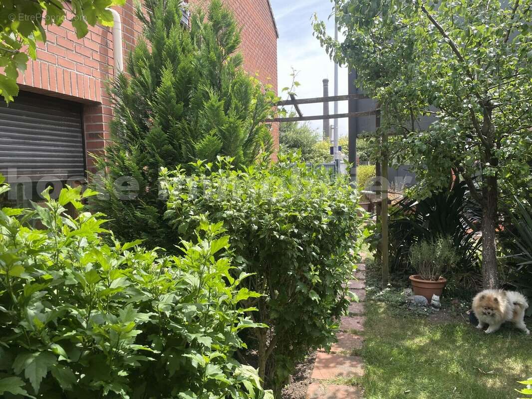 IMG_8808 - Maison à TOURCOING