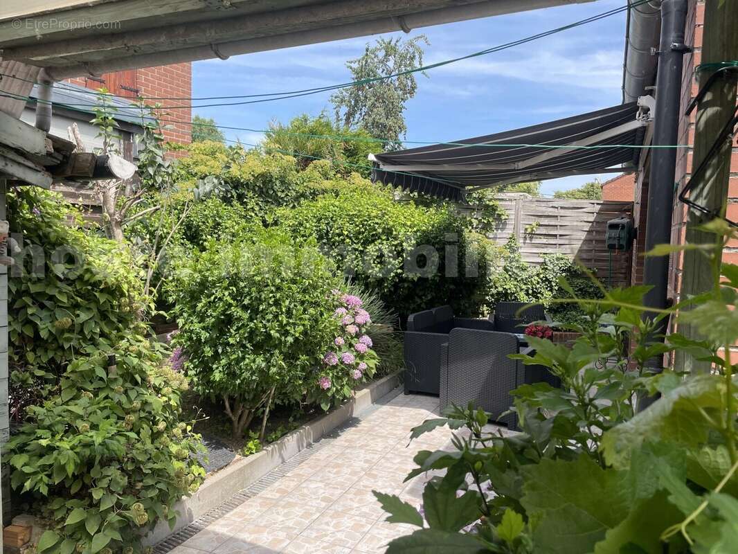 IMG_8810 - Maison à TOURCOING