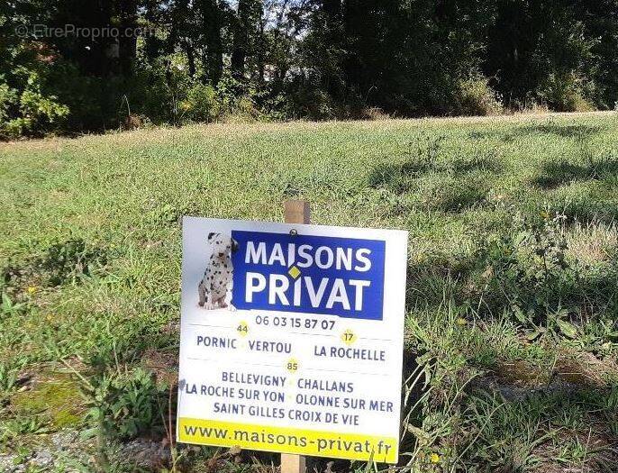 Terrain à DOMPIERRE-SUR-YON