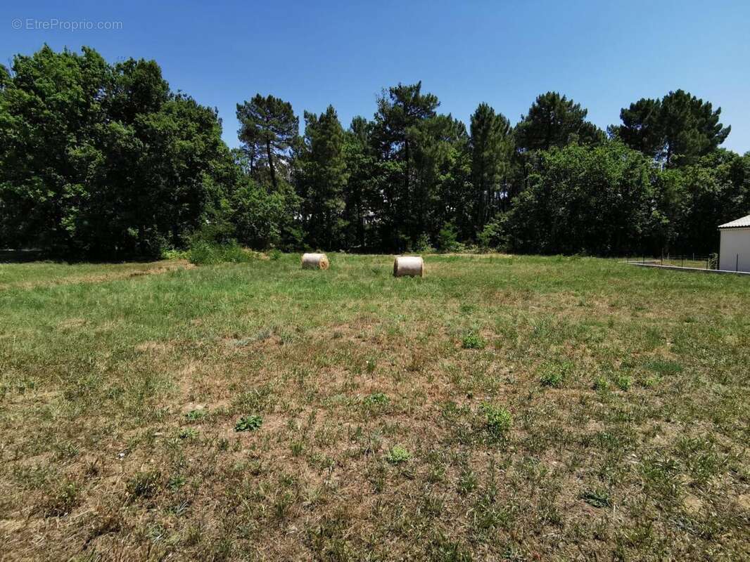   - Terrain à MERCUER