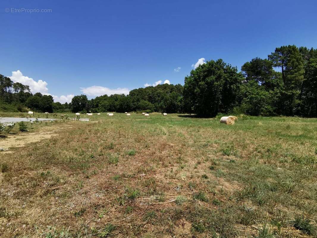   - Terrain à MERCUER