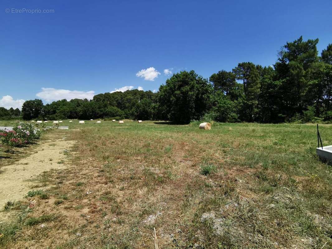   - Terrain à MERCUER