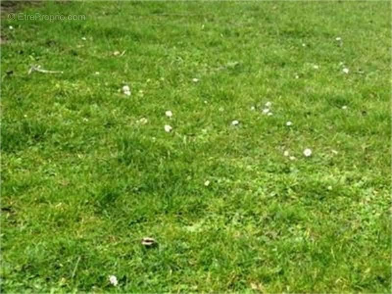 Terrain à FOUSSAIS-PAYRE