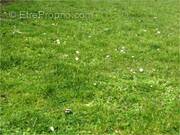 Terrain à FOUSSAIS-PAYRE