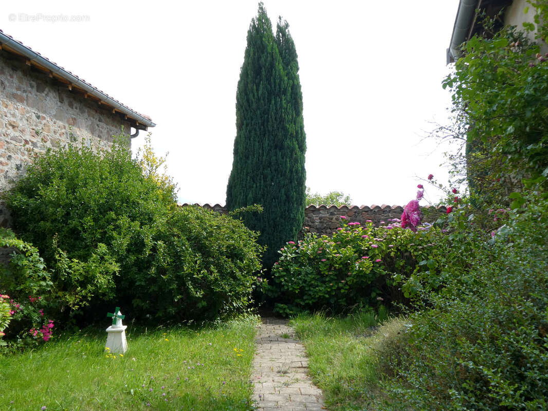 Maison à BRULLIOLES