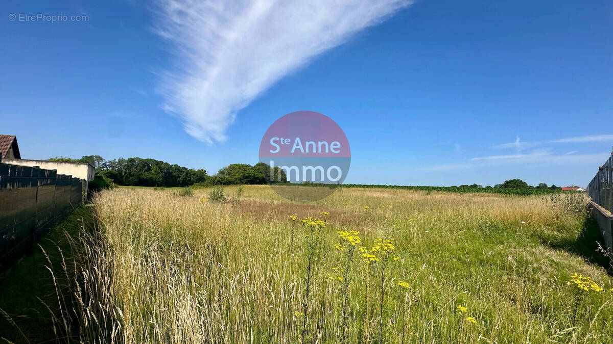 Photo 1 - Terrain à FLERS-SUR-NOYE