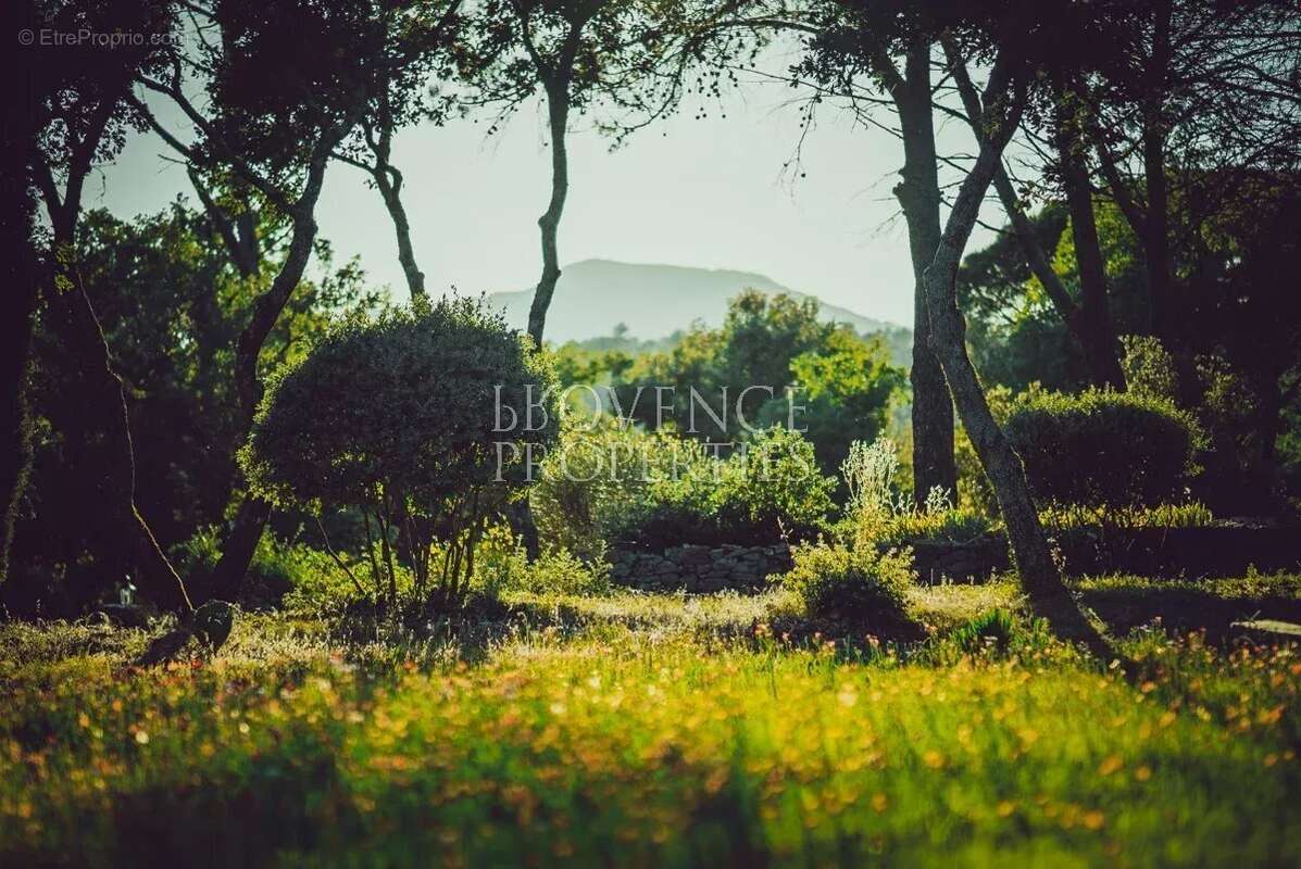 Maison à BESSE-SUR-ISSOLE