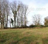 Terrain à RAMBERVILLERS