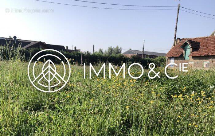 Terrain à FRELINGHIEN