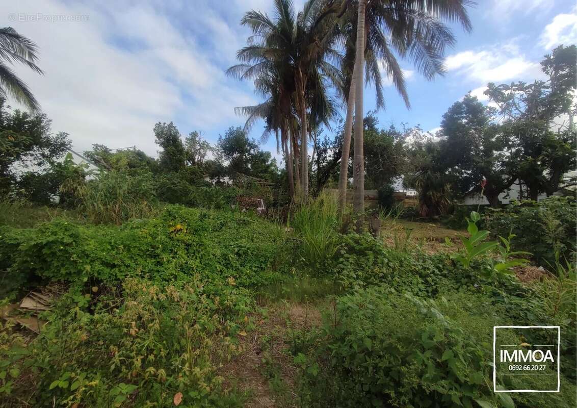 Terrain à SAINTE-SUZANNE