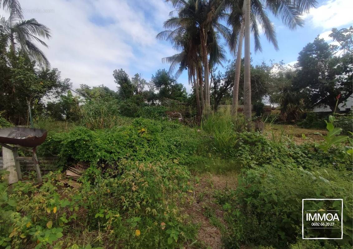 Terrain à SAINTE-SUZANNE