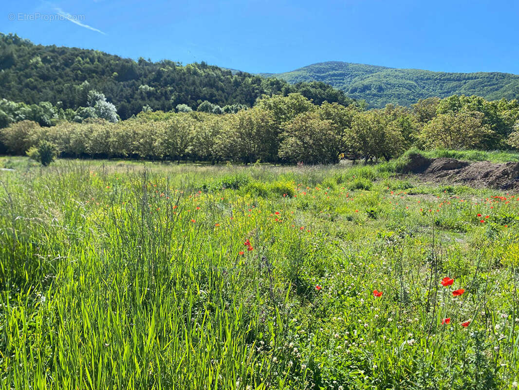 Photo 3 - Terrain à TALLARD