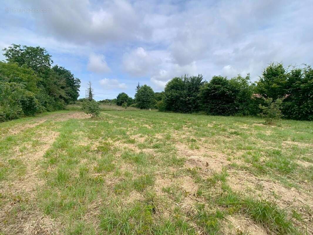 Photo 2 - Terrain à MIRANDE