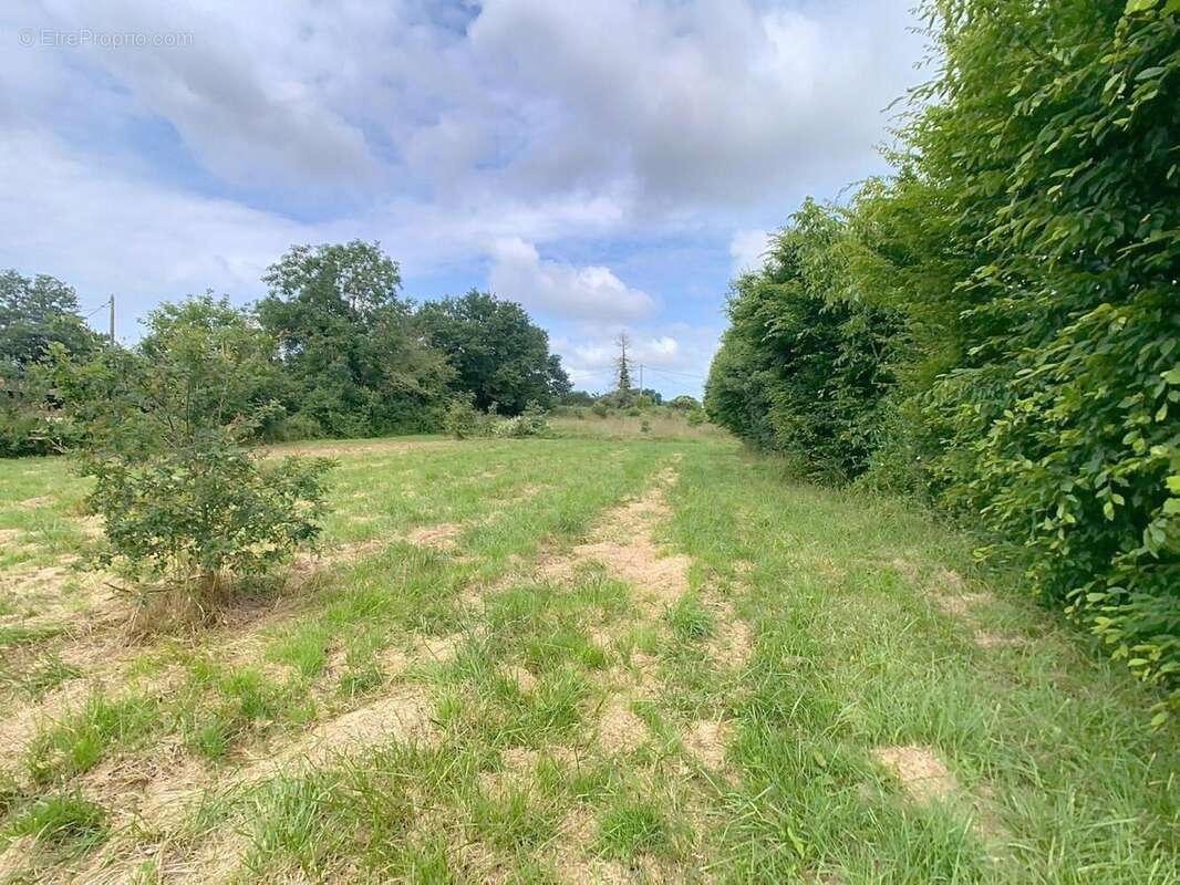 Photo 3 - Terrain à MIRANDE