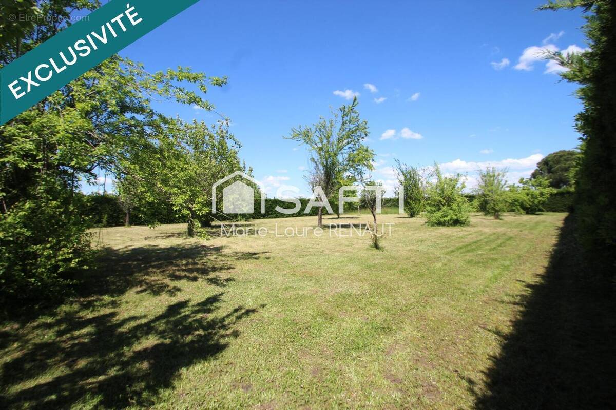 Photo 1 - Terrain à GAILLAC